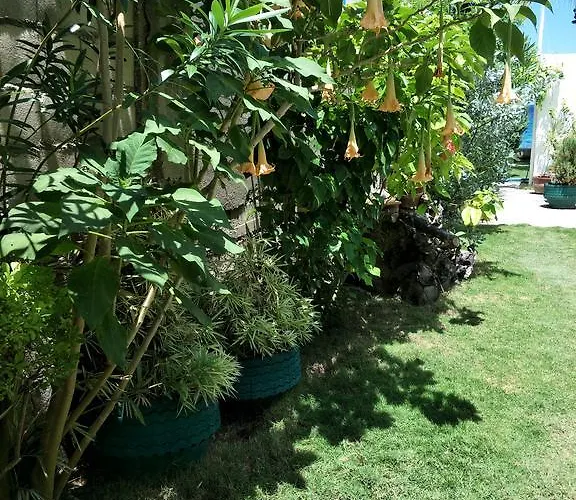 Anton's Resort