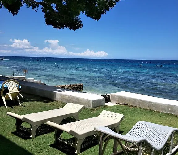 Anton's Oslob